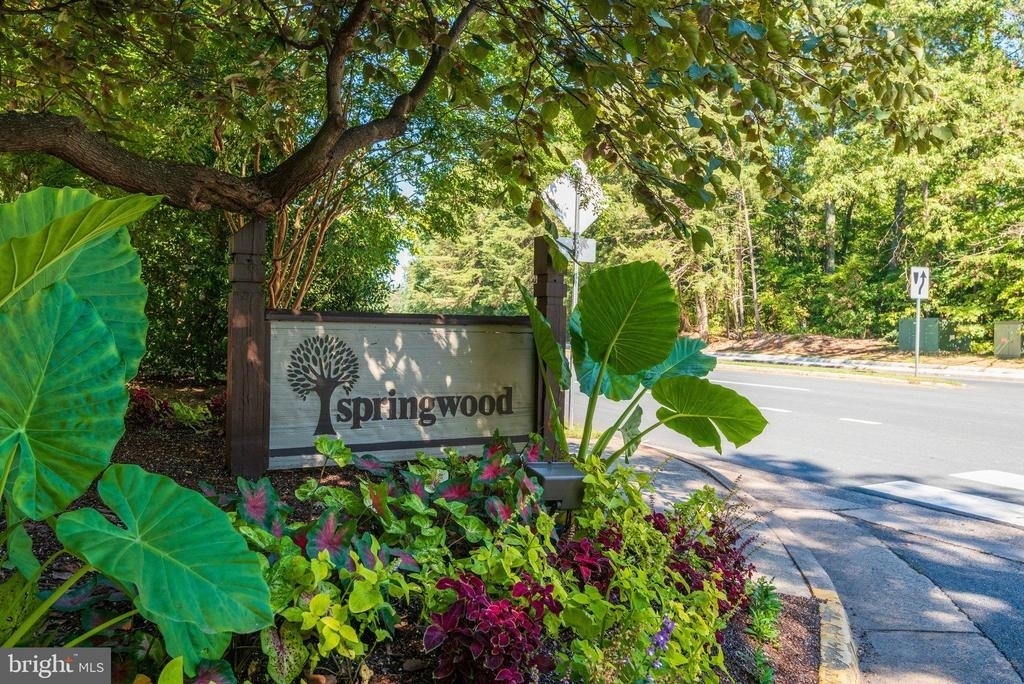 2210 Springwood Drive - Photo 1