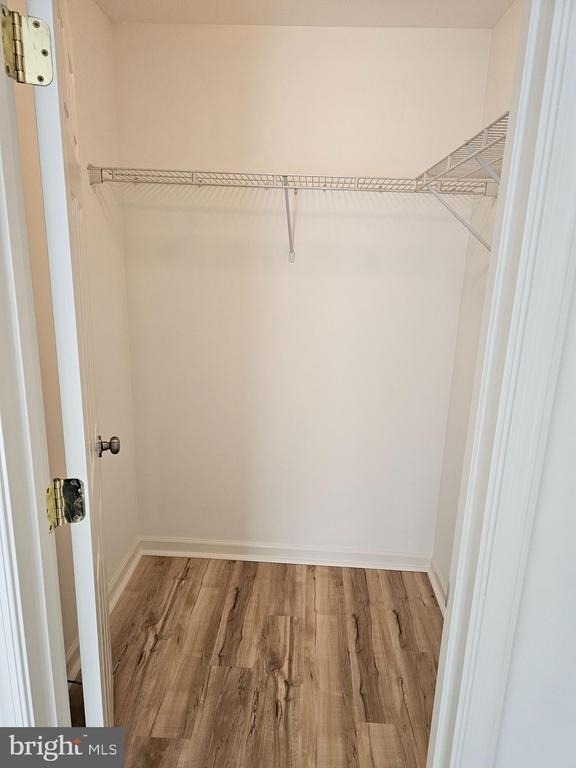 922 Pine Forest Lane - Photo 13