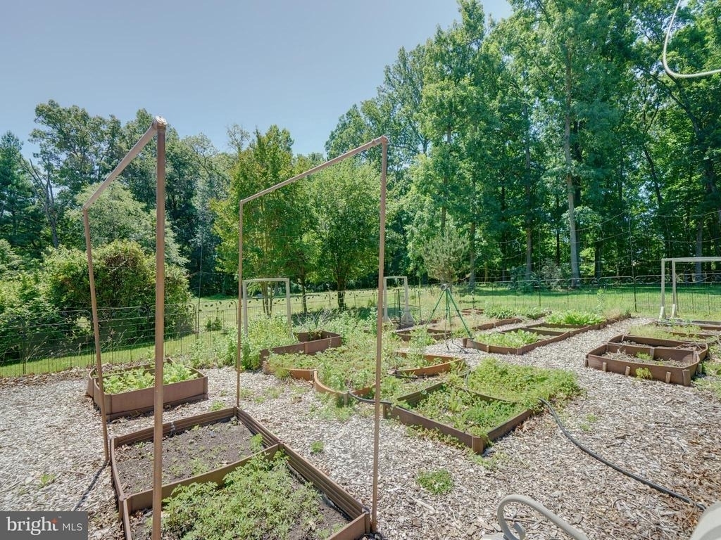 12351 Scaggsville Road - Photo 31