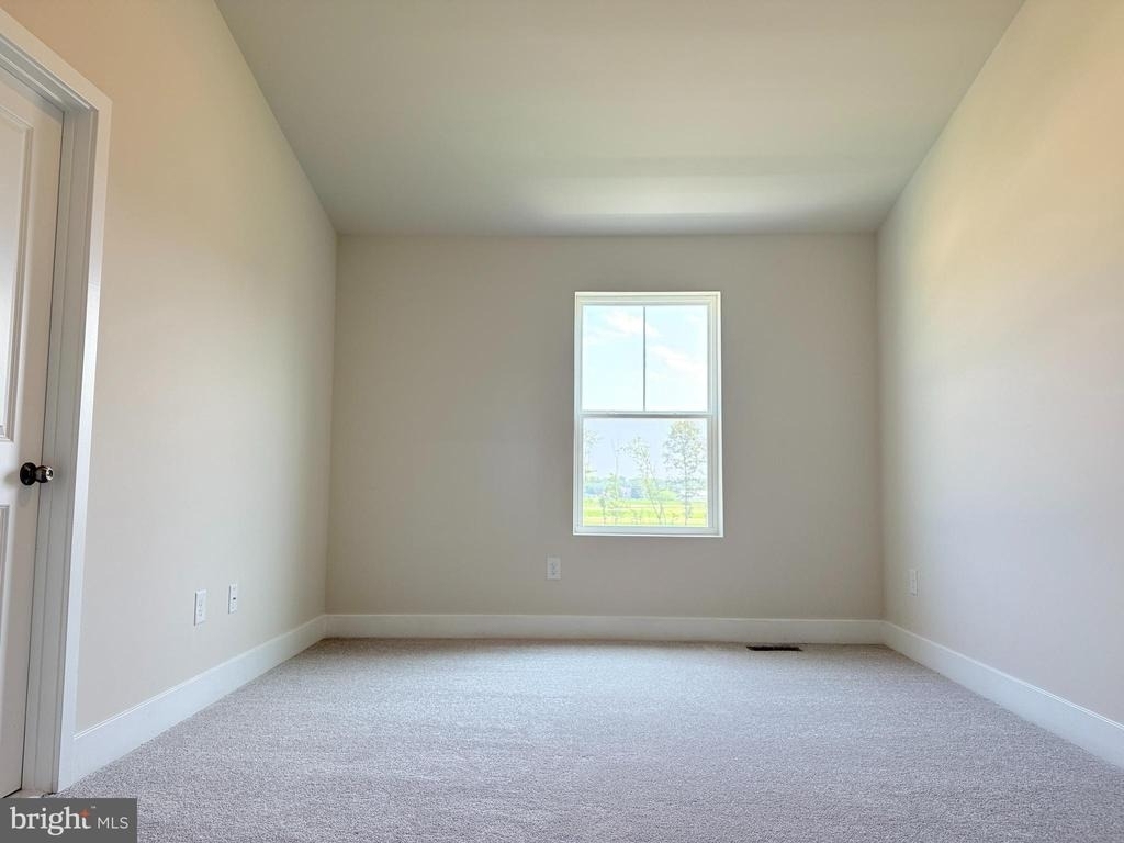 29860 Bankert Drive - Photo 10