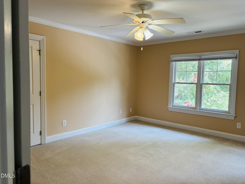 273 Brown Bear - Photo 16
