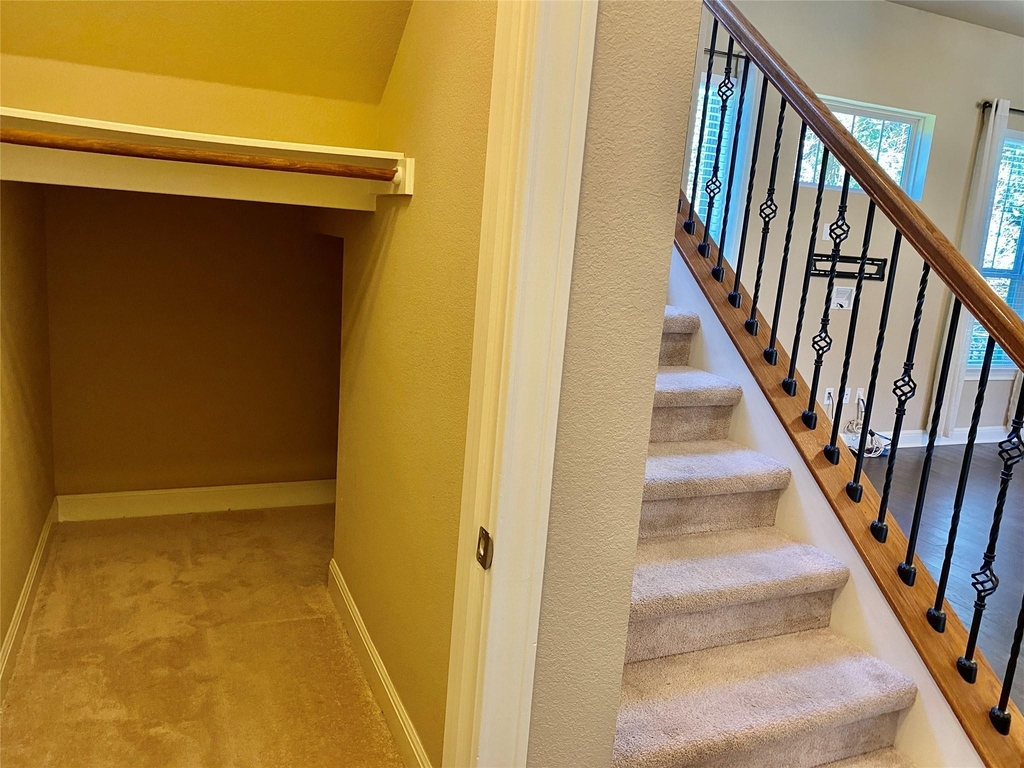 12437 Gray Camlet Ln - Photo 13