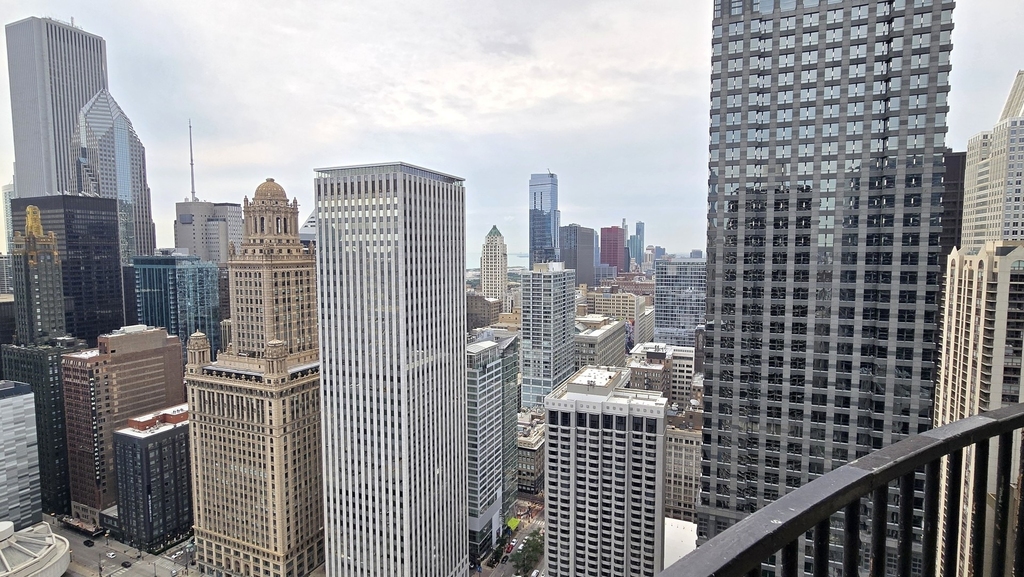 300 N State Street - Photo 2