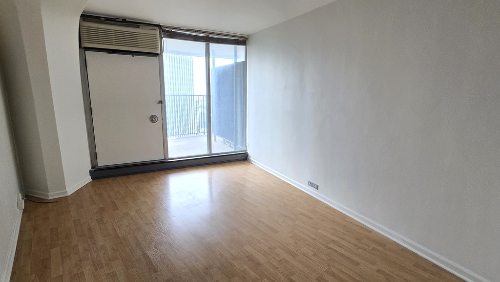 300 N State Street - Photo 9