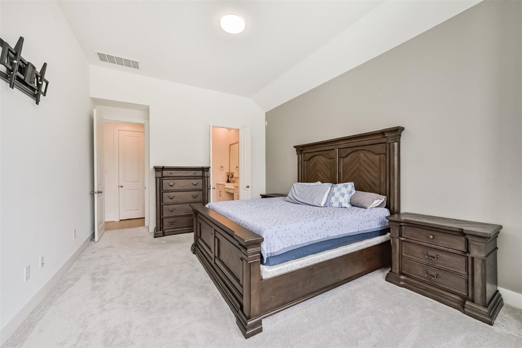 16911 Lupine Meadow Lane - Photo 19