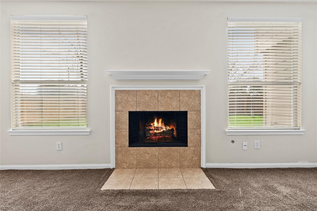 6411 Briar Moss Lane - Photo 4