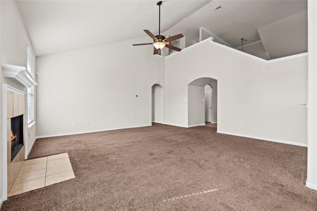 6411 Briar Moss Lane - Photo 5