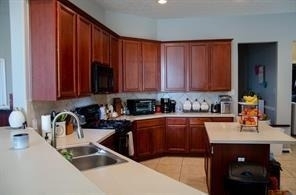 15010 Wildberry Creek Court - Photo 12