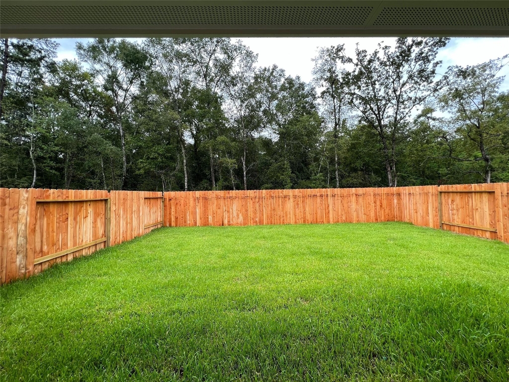 14918 Cypress Hollow Drive - Photo 3