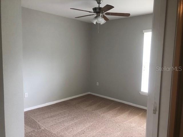 10025 Courtney Palms Boulevard - Photo 16