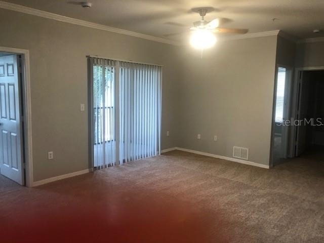 10025 Courtney Palms Boulevard - Photo 13