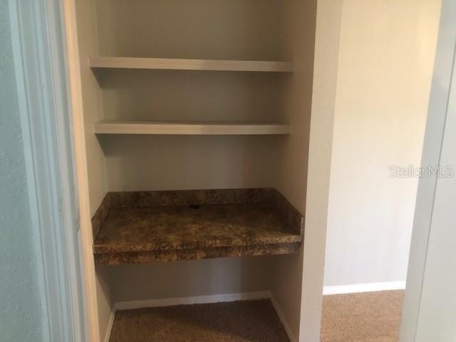 10025 Courtney Palms Boulevard - Photo 17