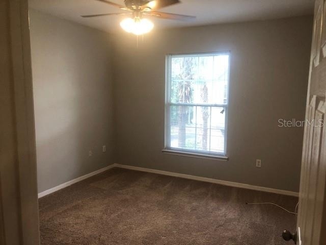 10025 Courtney Palms Boulevard - Photo 15