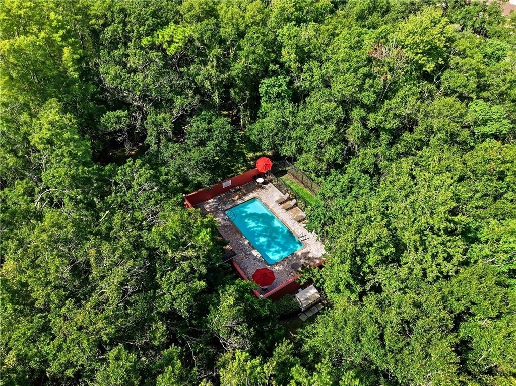 11019 Blaine Top Place - Photo 22