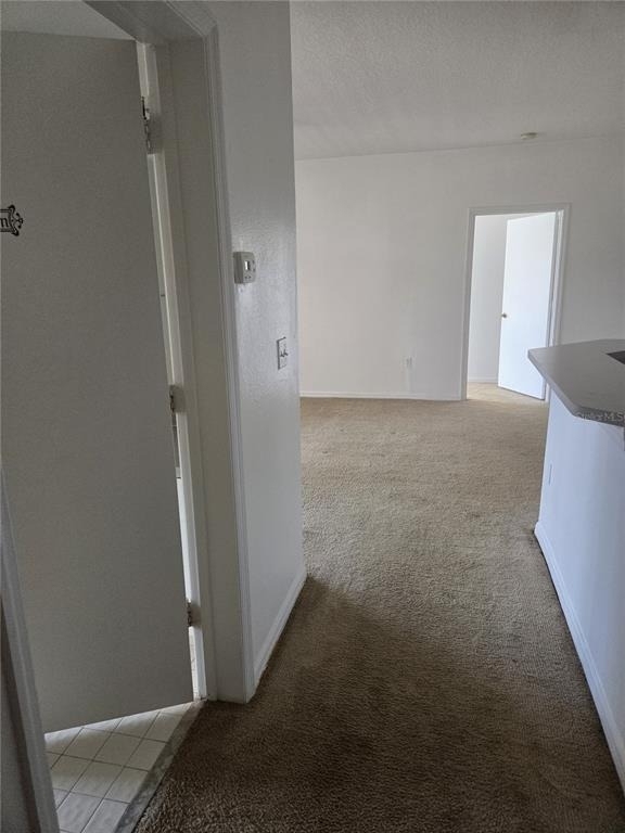 5566 Metrowest Boulevard - Photo 13
