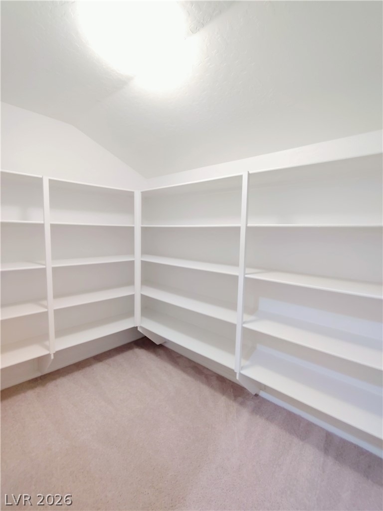 10095 Lady Apple Drive - Photo 20