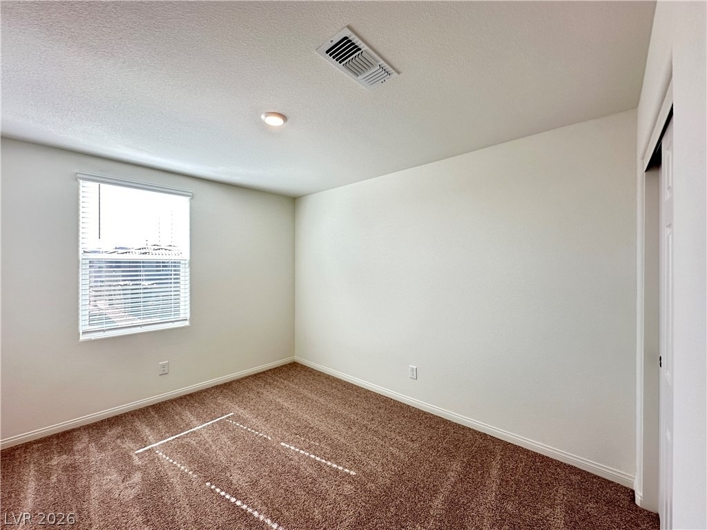 4090 Juniper Pear Avenue - Photo 19