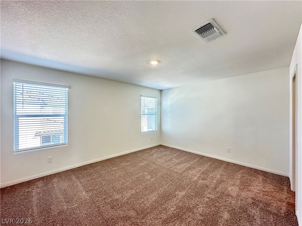 4090 Juniper Pear Avenue - Photo 12