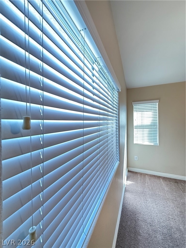 4837 Raw Umber Court - Photo 10