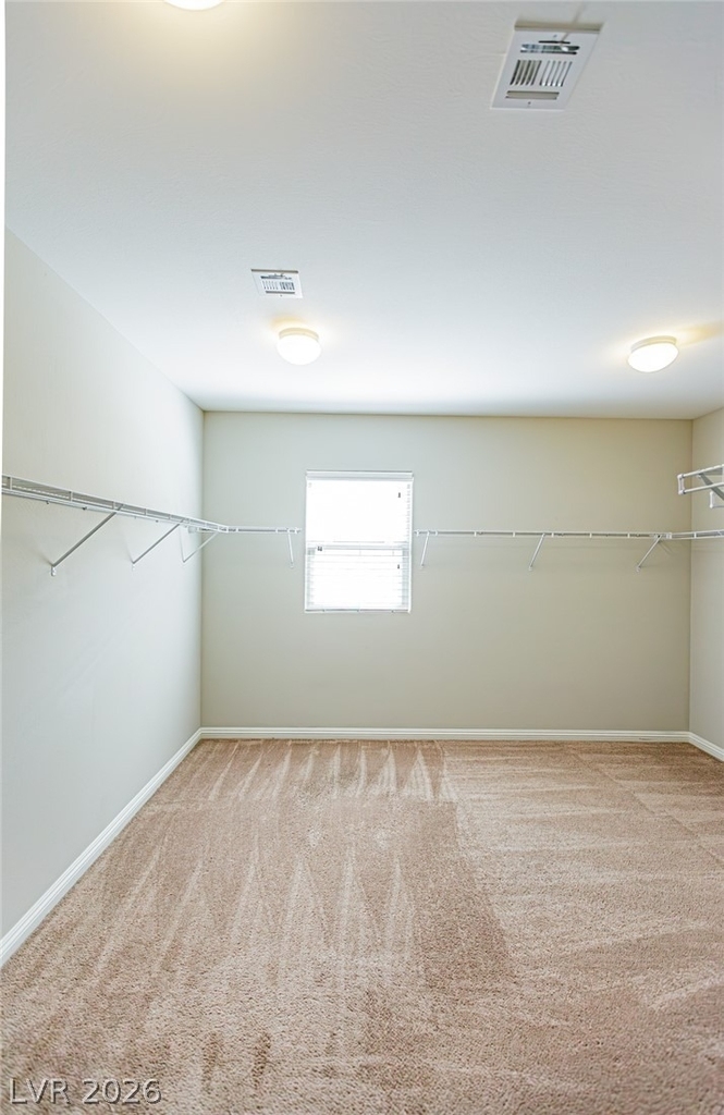 8538 Helvetia Lane - Photo 43