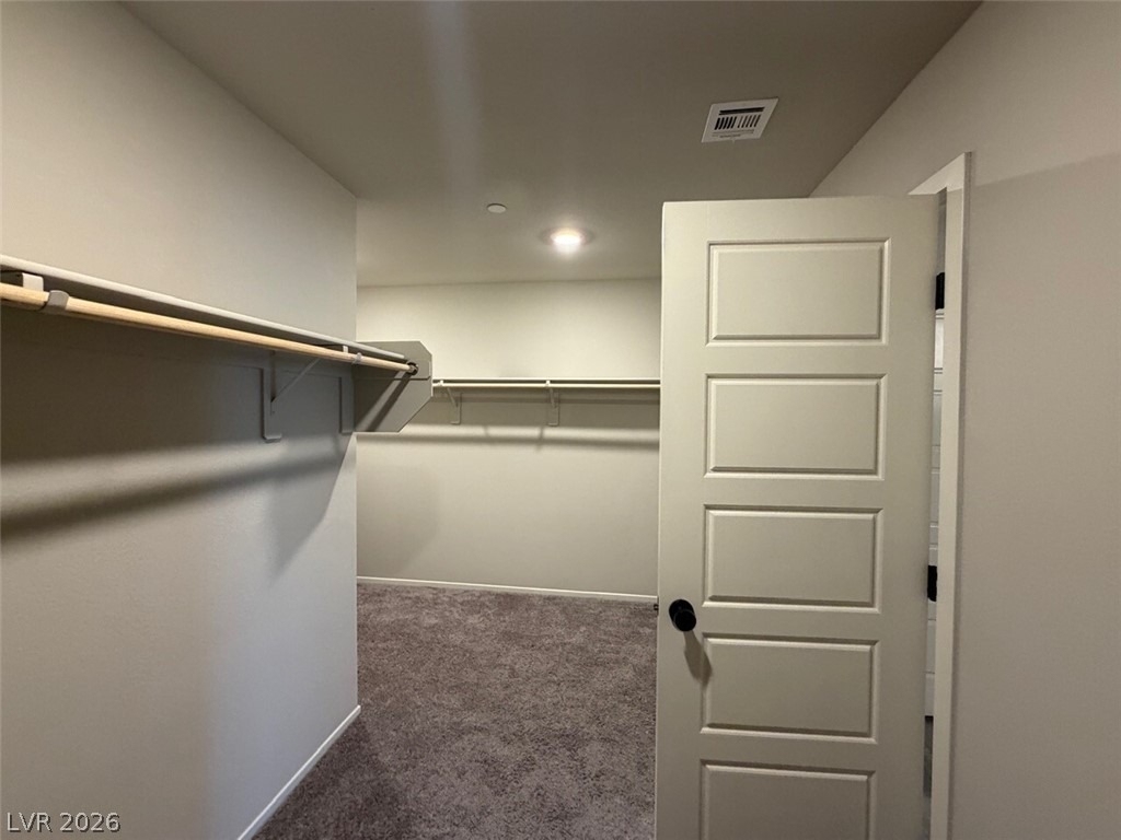 7473 Garnet Moon Street - Photo 74