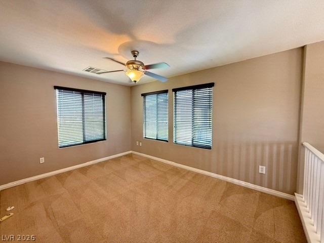 10319 Trillium Drive - Photo 15