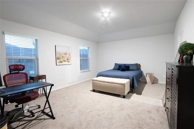 9501 Mountain Mint Drive - Photo 10