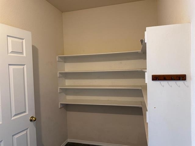 3104 Deleon Drive - Photo 15