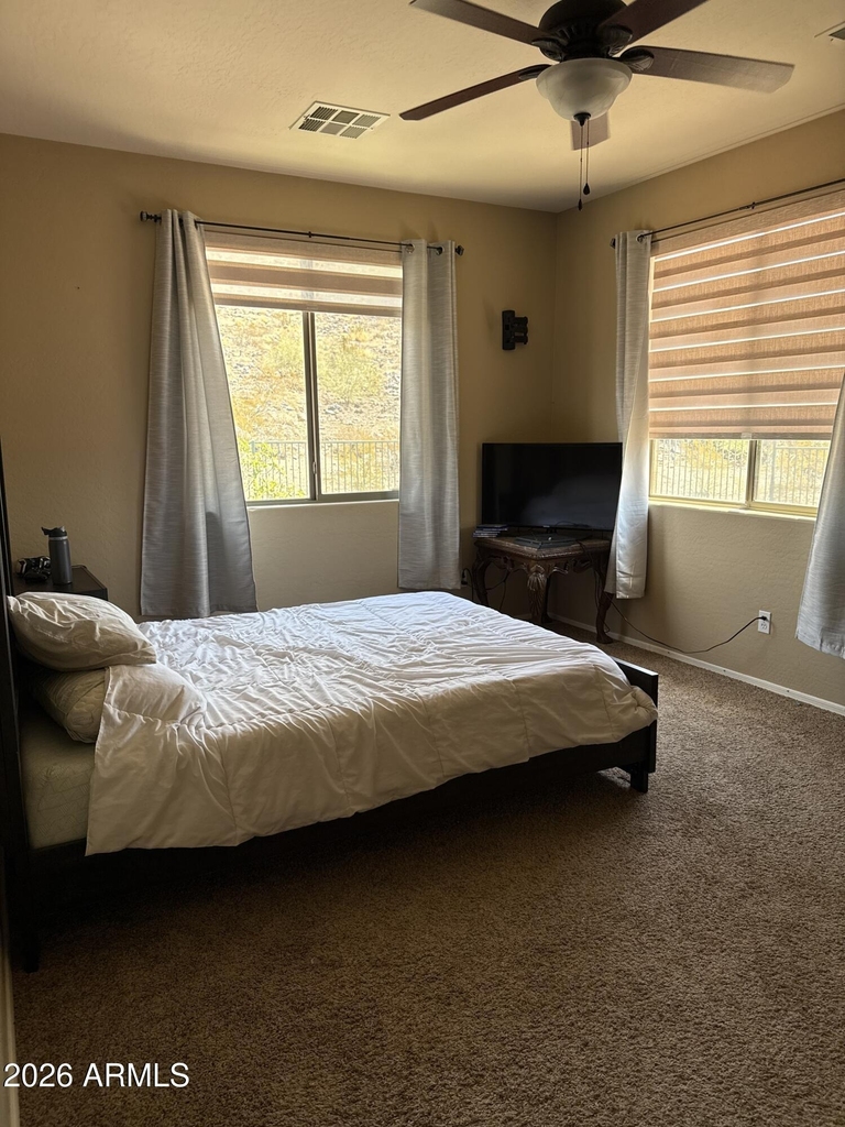 3928 W Range Mule Drive - Photo 23