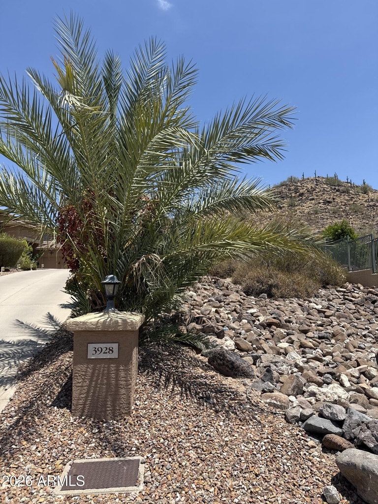 3928 W Range Mule Drive - Photo 3