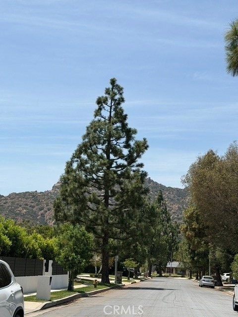 22231 Romar Street - Photo 40