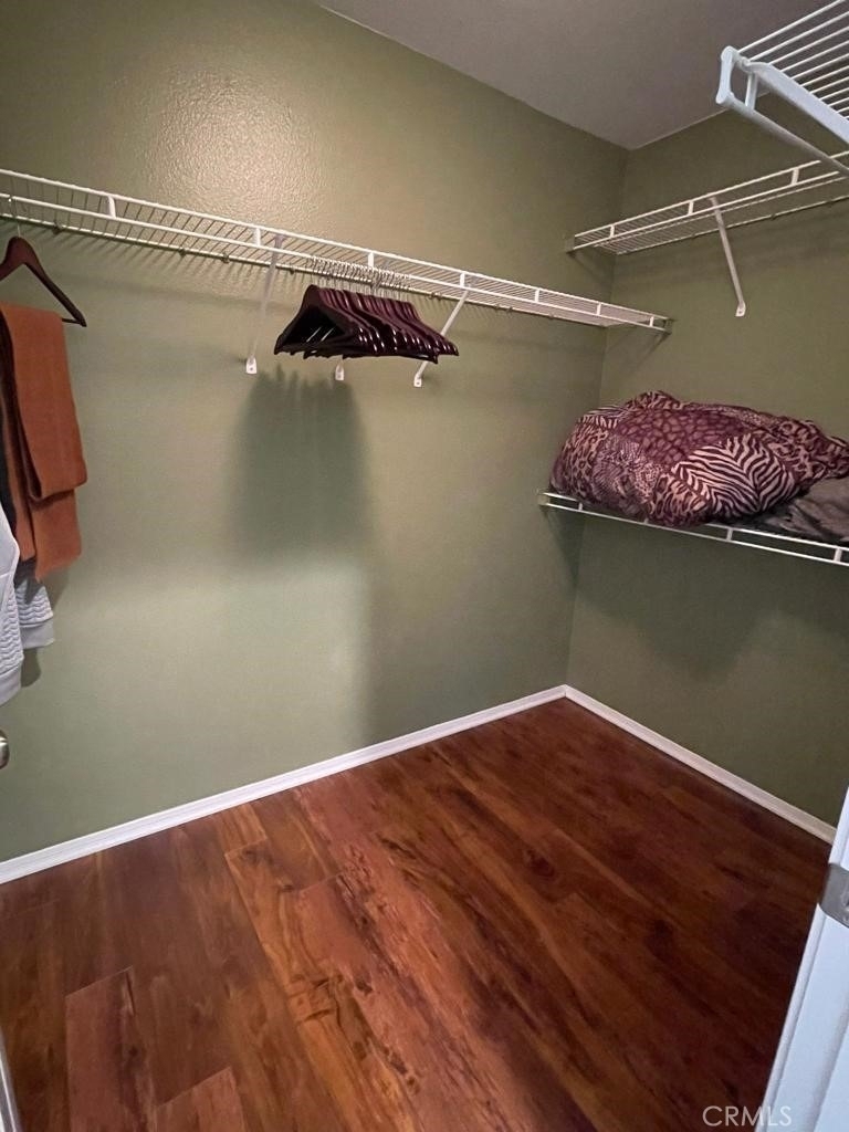 27139 Tube Rose Street - Photo 11