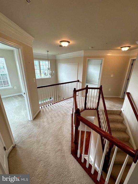 2002 Turleygreen Place - Photo 49