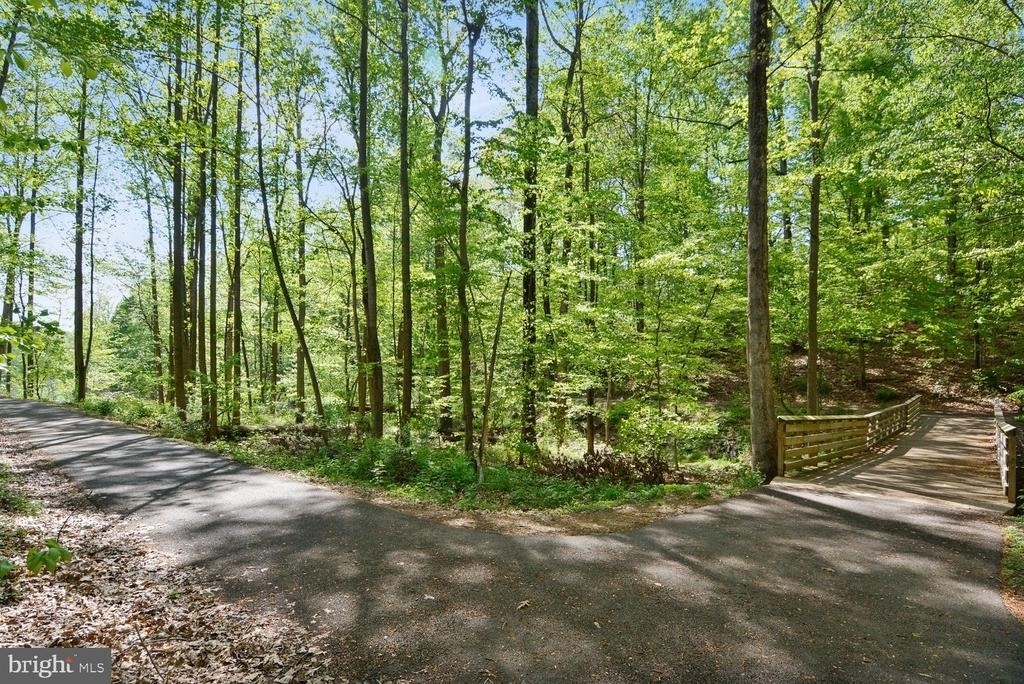 12031 Panthers Ridge Drive - Photo 22