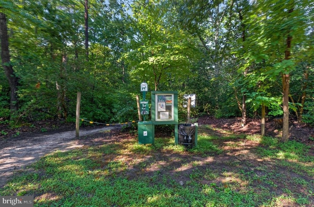 670 White Rock Road - Photo 40