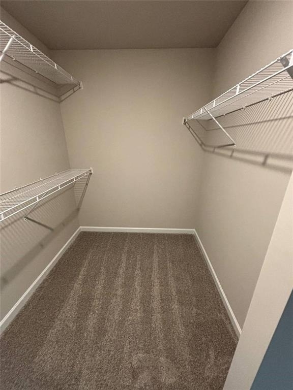 1257 Fern Ridge Court - Photo 12