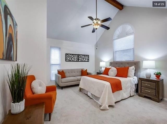 818 Torrey Pines Lane - Photo 18