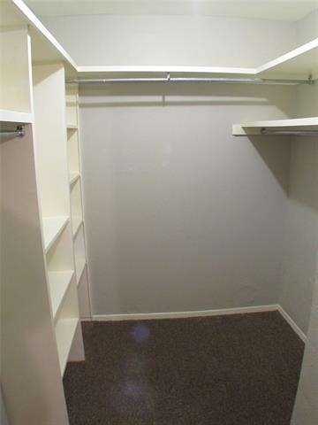 10406 Shadow Bend Drive - Photo 24