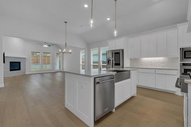 16128 Harris Hawk Street - Photo 11