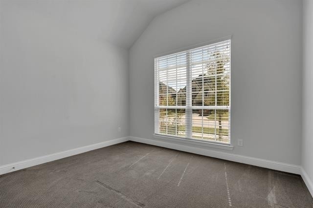 16128 Harris Hawk Street - Photo 30