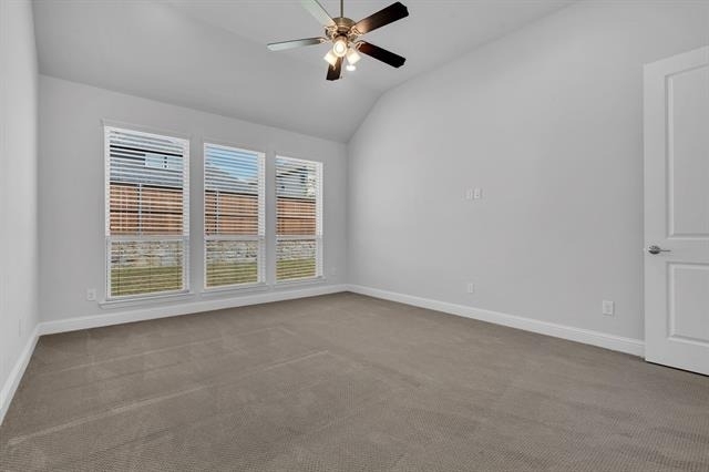 16128 Harris Hawk Street - Photo 20