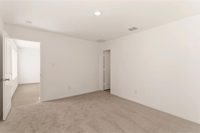 3120 Burmese Street - Photo 15