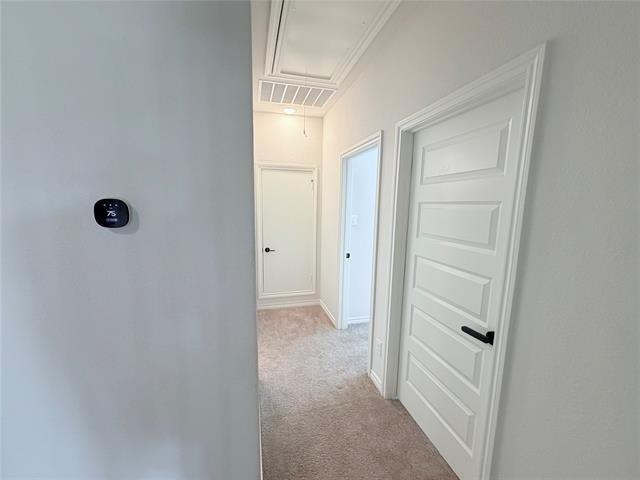 516 William Court - Photo 21