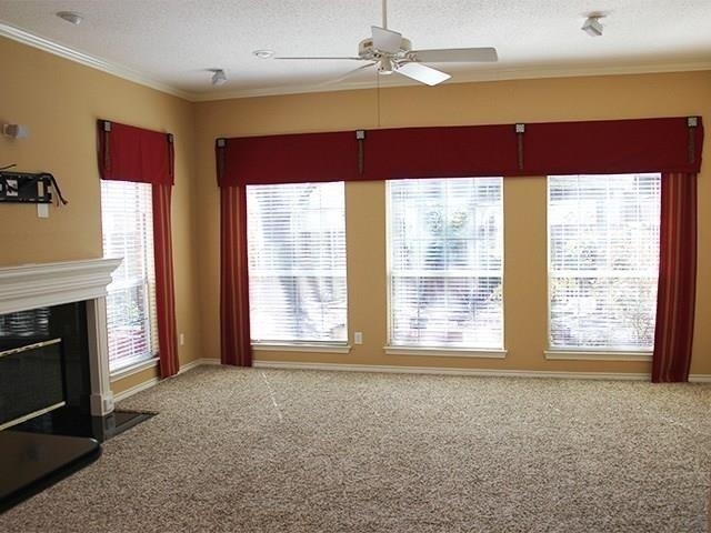 8209 Bells Street - Photo 4