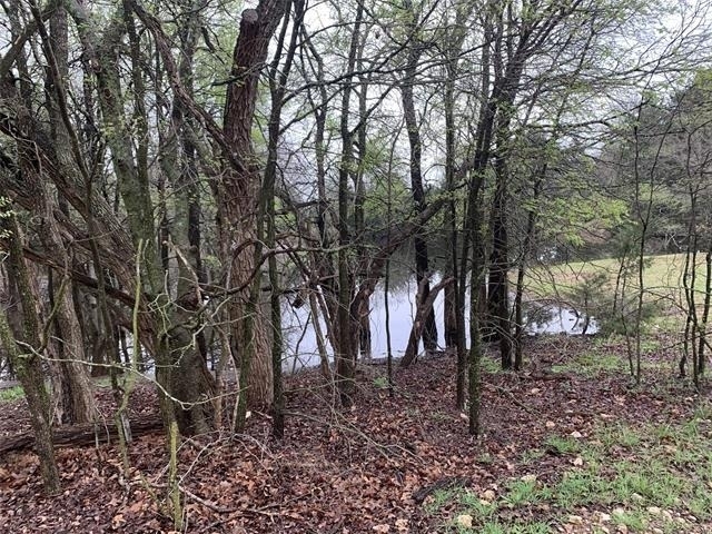 7900 Fm 3136 Road - Photo 14