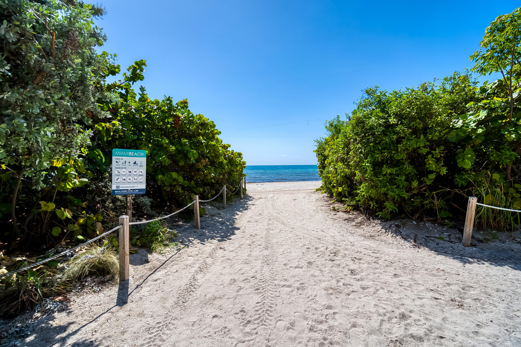 6899 Collins Avenue - Photo 56