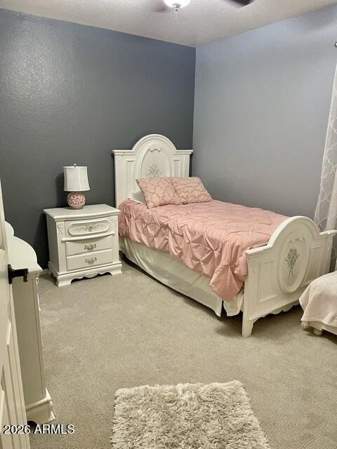 3411 E Escuda Road - Photo 24