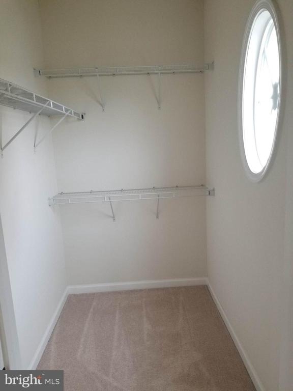 7356 Brunson Circle - Photo 13