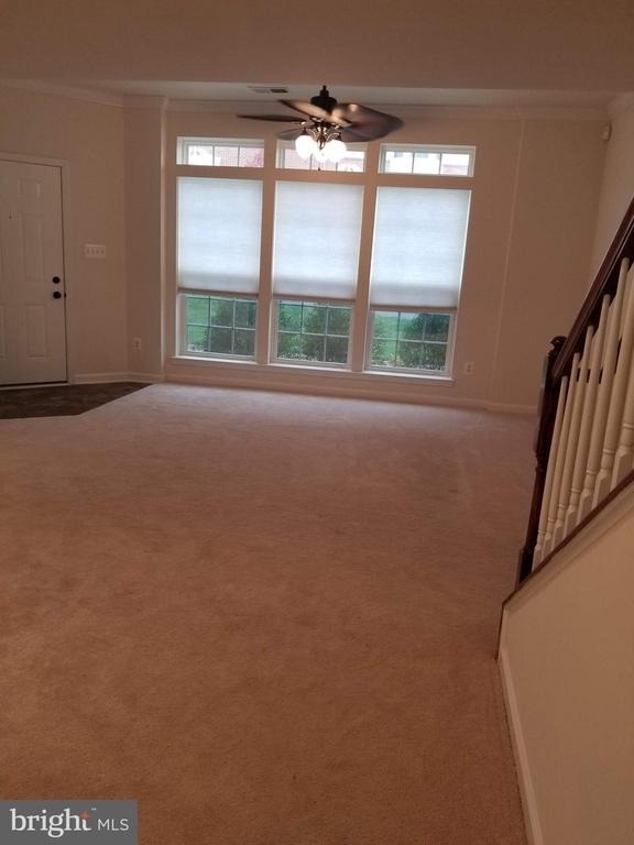 7356 Brunson Circle - Photo 5