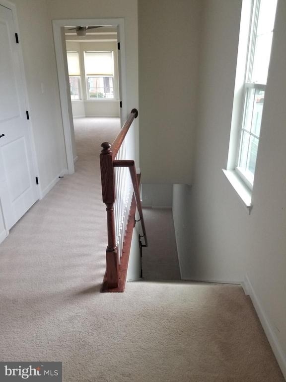 7356 Brunson Circle - Photo 8